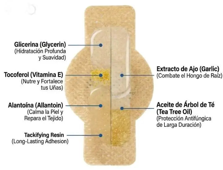 No es magia, estos son los ingredientes